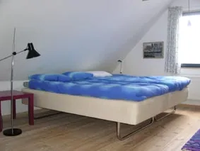 50.jpg